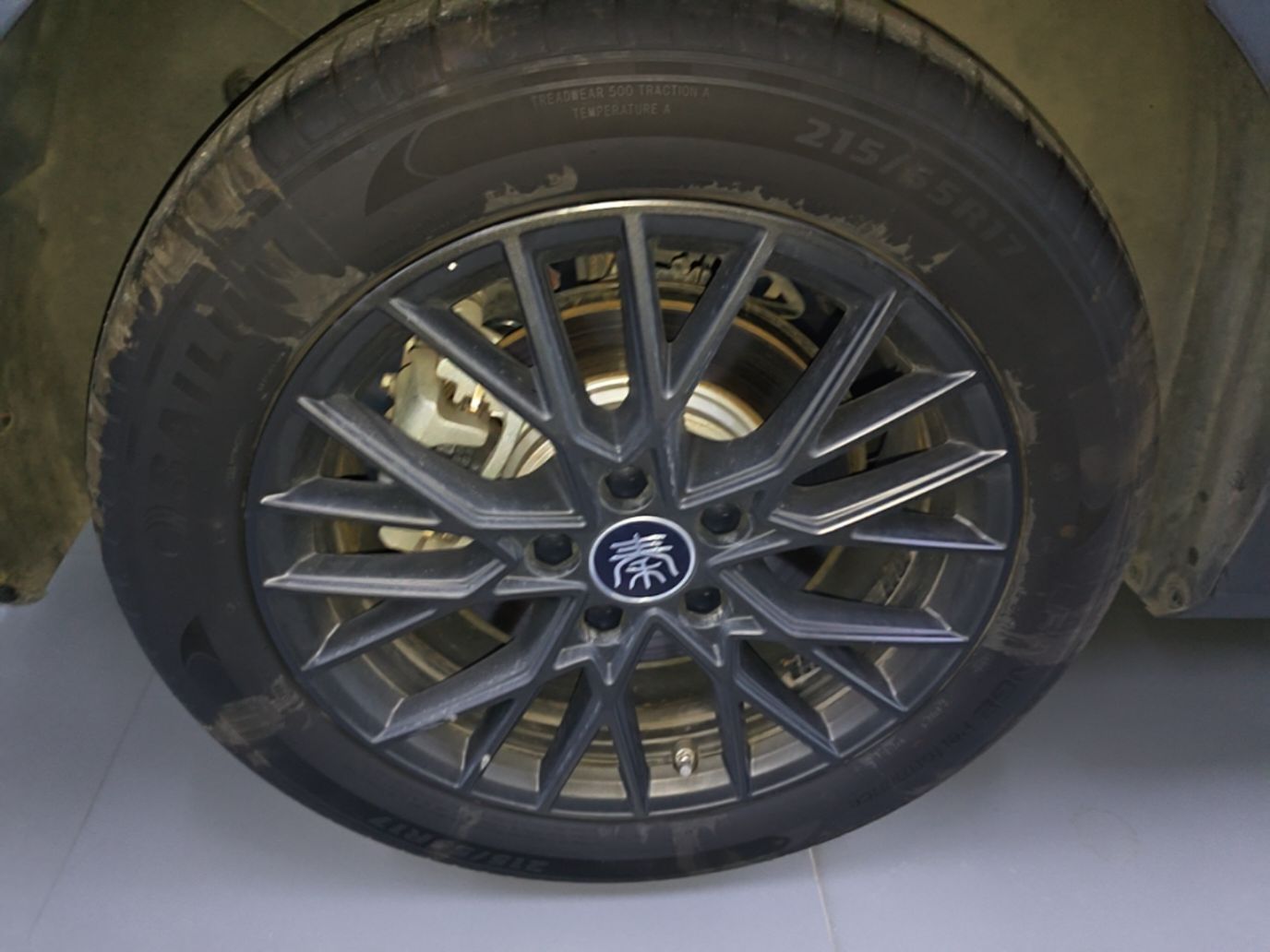 BYD Qin PLUS 2025 EV Smart Drive Edition 420KM Leading Model — снимка 11