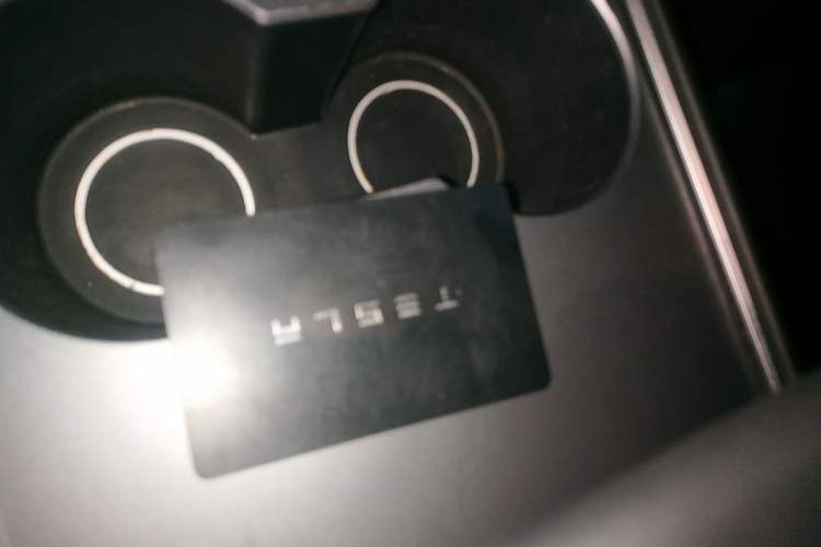 Used Tesla Model Y 2021 Long-Range All-Wheel-Drive Version 3D7