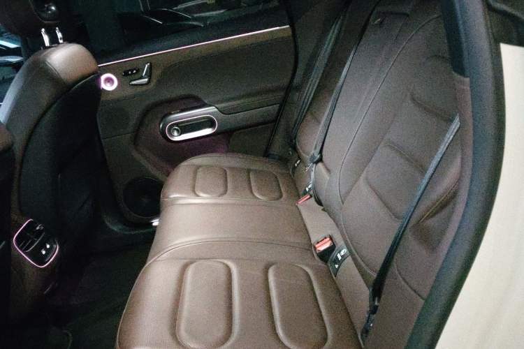 Used smart #5 2024 Ultra-Long Range Extraordinary Journey Luxury Edition