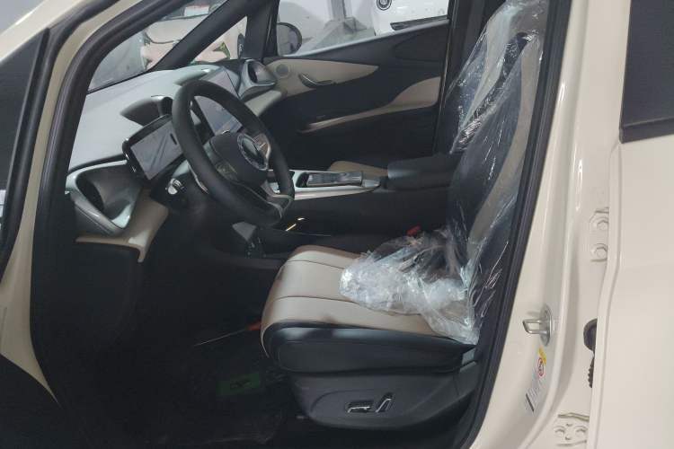 Used BYD Dolphin 2025 Smart Drive Version 420 km Freedom Edition
