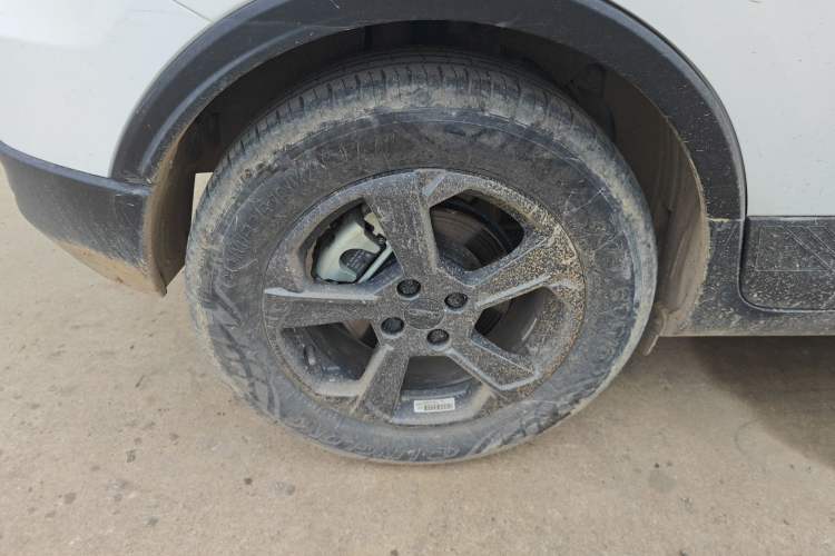 Used Geometry E Firefly 2023 401KM Linglong Tiger 5-Seater Right Rear Wheel Hub