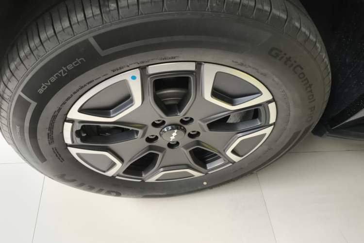 Used Formula Leopard Tai 7 2025 Model 200 km Two-Wheel Drive Max Edition
