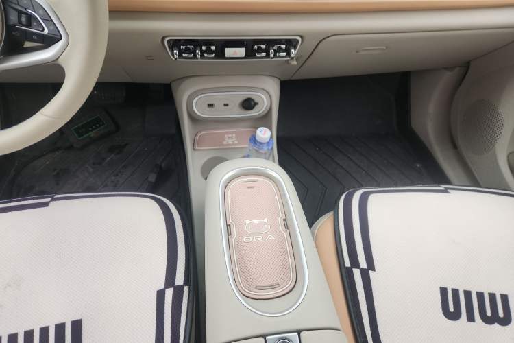 Used ORA Good Cat 2024 401 km Luxury Version