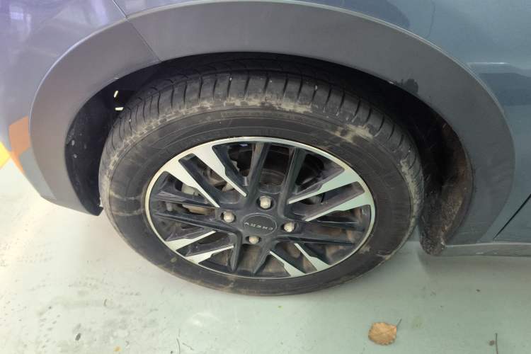 Used Chery New Energy Little Ant 2023 251km True Love Edition Lithium Iron Phosphate
