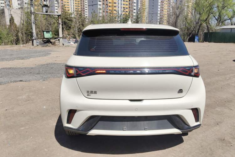 Used BYD Dolphin 2021 405 km Fashion Edition Rear