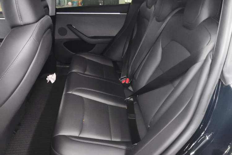 Used Tesla Model 3 2023 Rear-Wheel-Drive Version
