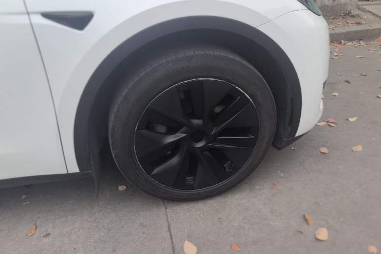 Used Tesla Model Y 2023 Rear-Wheel-Drive Version
