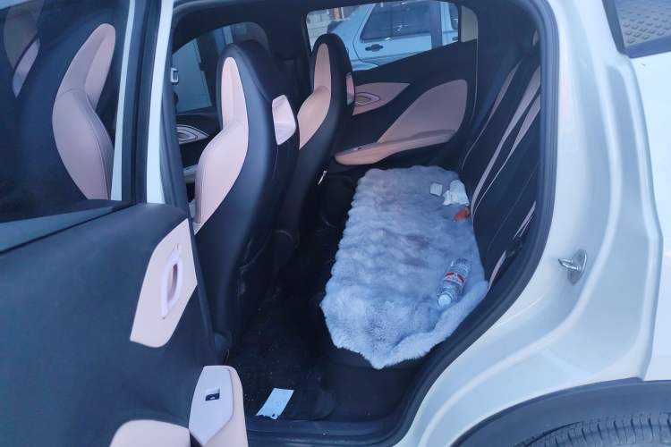 Used BYD Seagull 2025 305 km Free Version Left Rear Seat