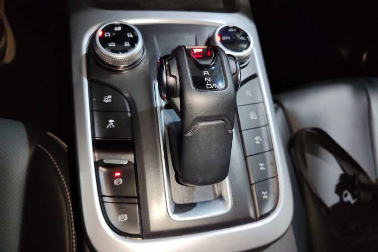 Used Tank 300 2024 2.0T Conqueror