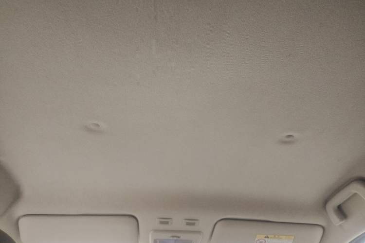 Used ORA Black Cat 2019 301km Standard Edition
