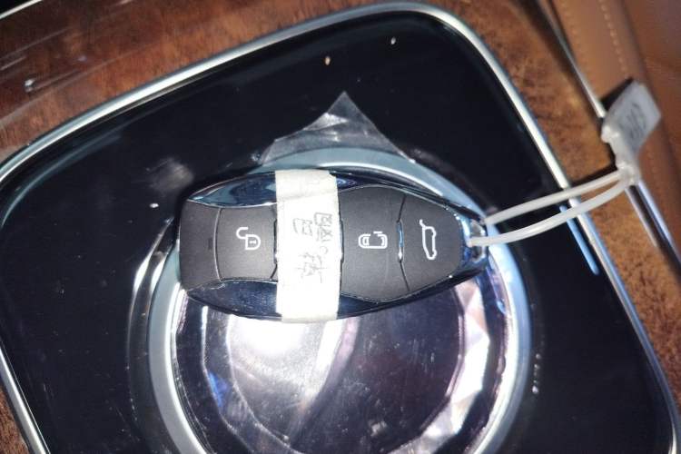 Used Hongqi HQ9 2023 2.0T Smart Connect Flagship Edition