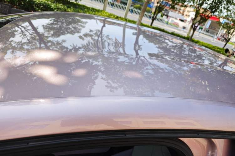 Used BYD Dolphin 2021 405 km Free Version