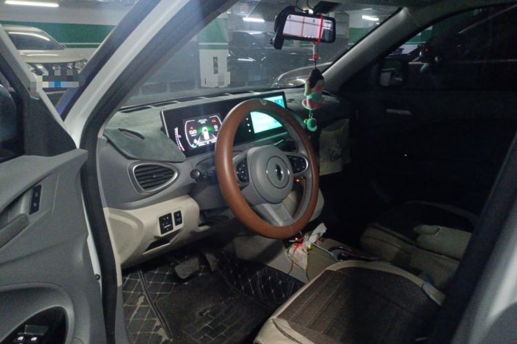 Used ORA White Cat 2020 360 km Luxury Version Driver Seat