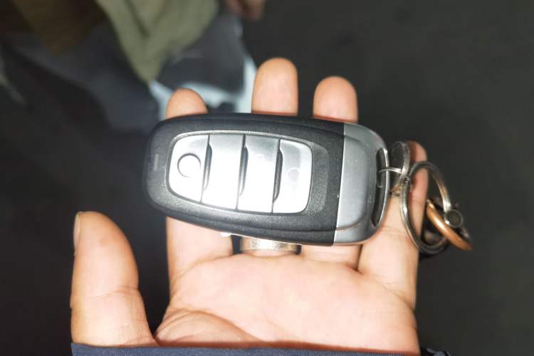 Used Hongqi H9 2020 2.0T Smart Connect Flagship Edition
