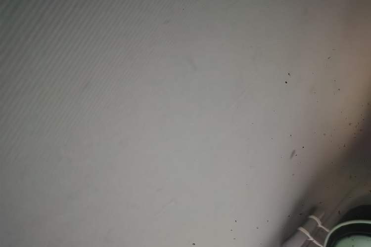 Used Wuling Hongguang MINIEV 2021 Macaron Premium Model – Lithium Iron Phosphate