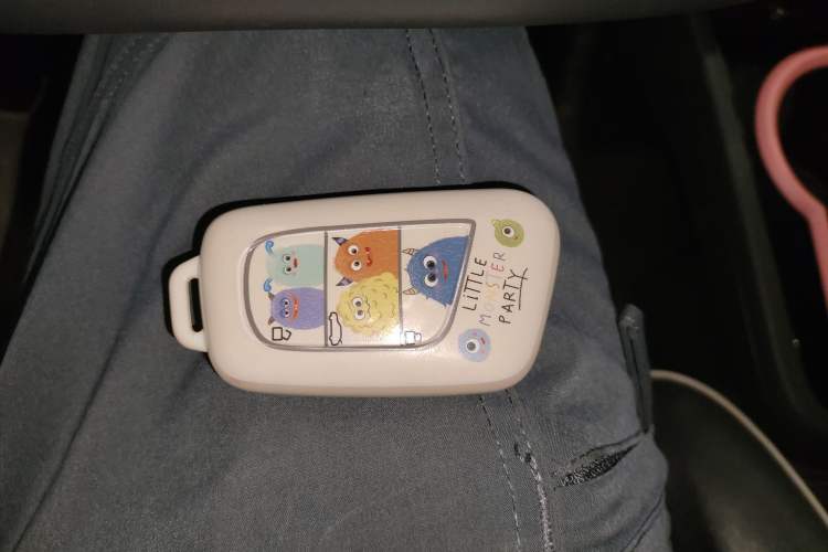 Used Chery QQ Little Ant 2022 Sweet Pink Edition Half-Sugar Version Lithium Iron Phosphate 29.2 kWh 30 kW 301 km Vehicle Key