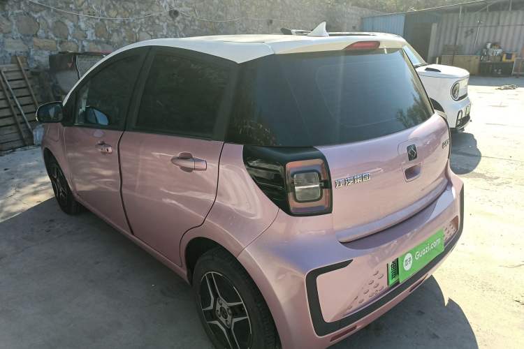 Used SOL E10X 2022 Flower Fairy Design Four-Leaf Clover Rear Left 45 Deg