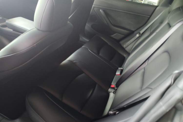 Used Tesla Model 3 2022 Rear-Wheel-Drive Version
