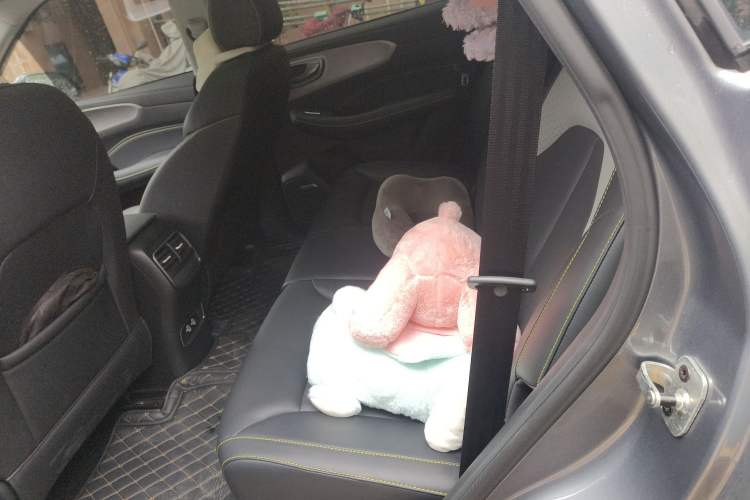 Used Roewe RX5 New Energy 2020 ePLUS National Trend Ronglin Luxury Edition Left Rear Seat