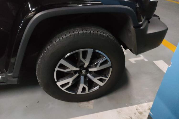 Used Tank 300 2024 2.0T Crosser
