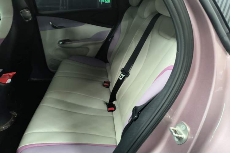 Used BYD Dolphin 2023 420 km Free Version Left Rear Seat