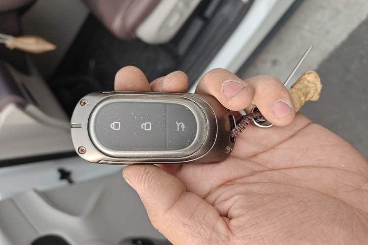 Used Leapmotor C11 2023 Pure Electric 500 Smart Edition
