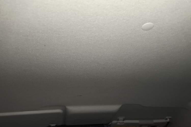 Used Oshan Benni E-Star 2021 National Edition Xin Yue Version (Fast-Charging Edition) Lithium Iron Phosphate (31.95 kWh)
