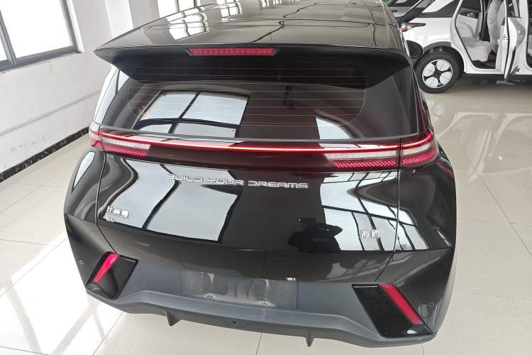 Used BYD Seagull 2024 Honor Edition 305km Dynamic Version Rear