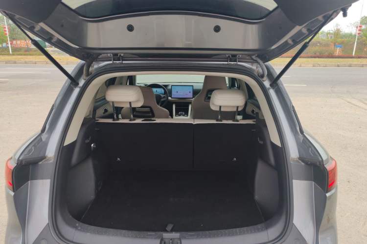 Used BYD Yuan UP 2024 401KM Leading Edition
