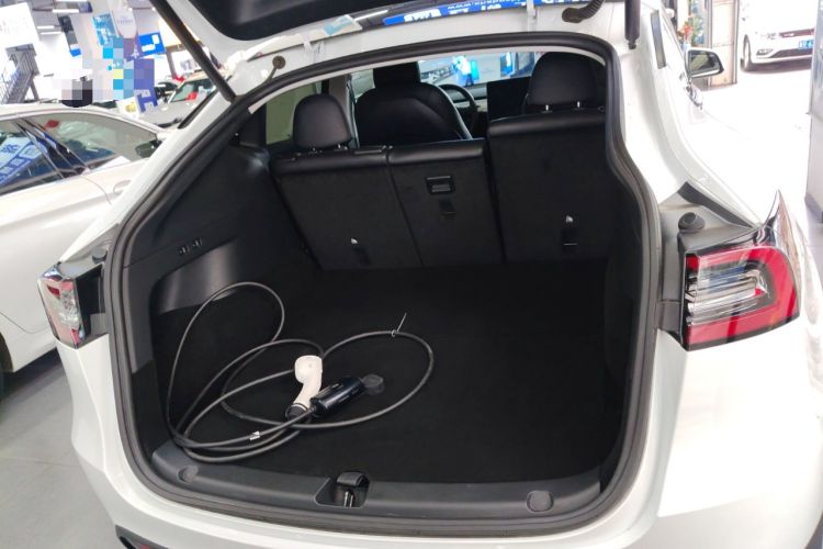 Used Tesla Model Y 2021 Standard Range Rear-Wheel Drive Version
