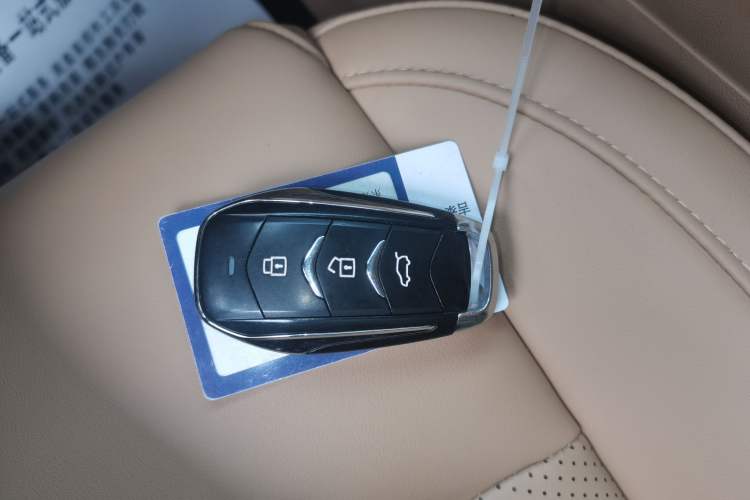 Used Landian E5 2024 Honor Edition 100KM Premium Model 7 Seats
