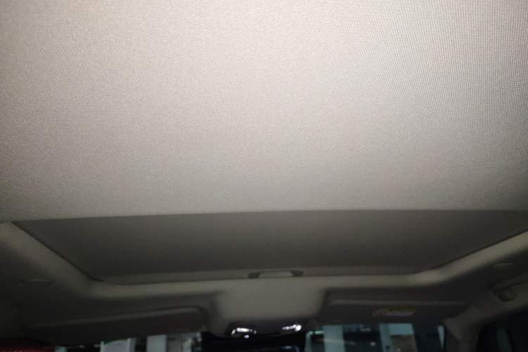 Used Tank 300 2024 2.0T Crosser