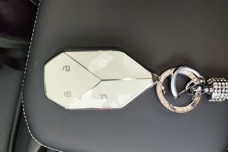 Used Formula Leopard Titanium 3 2025 501 km Range Rear-Wheel Drive Intelligent Driving Max Edition
