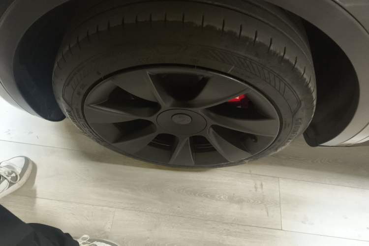 Used Tesla Model Y 2024 Rear-Wheel-Drive Version Exterior 4