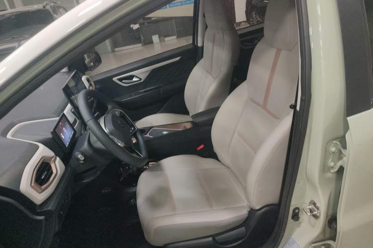 Used SOL E10X 2022 Flower Fairy Design Sunflower
