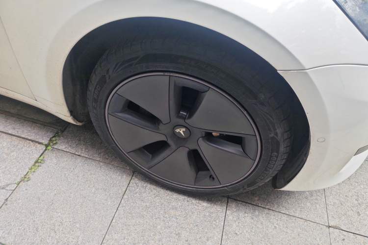 Used Tesla Model 3 2021 Standard Range Rear-Wheel Drive Upgraded Version 3D6
