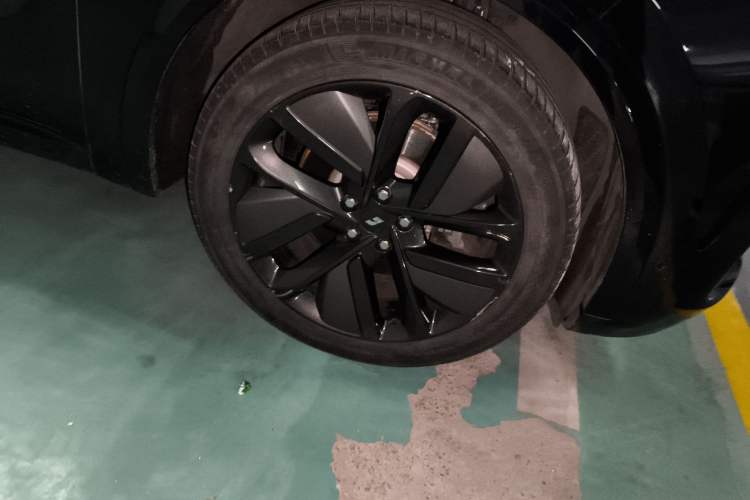 Used Li Auto L8 2024 Pro Model