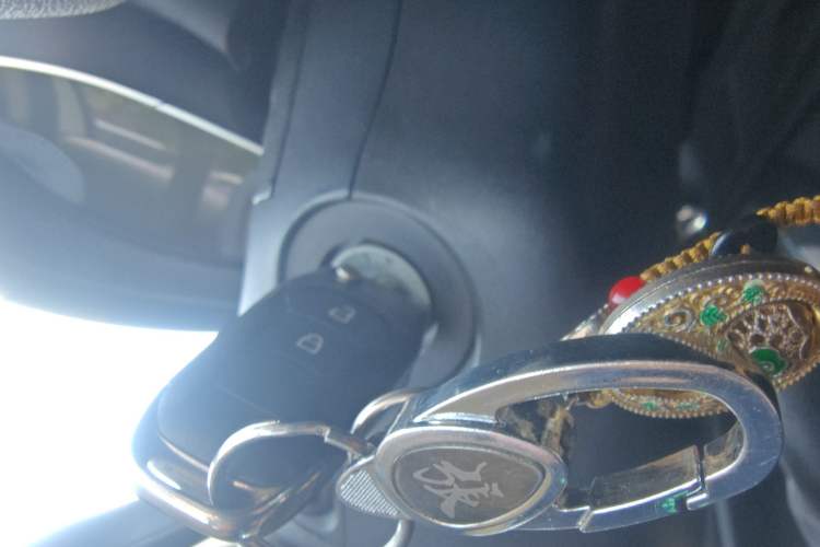 Used Ford EcoSport 2018 1.5L Automatic Elite Edition Vehicle Key