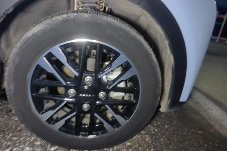 Used Chery Little Ant 2022 Sweet Pink Edition Half-Sugar Version Lithium Iron Phosphate 29.2 kWh 30 kW 301 km