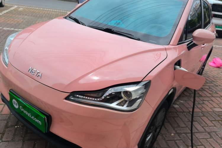 Used NETA V 2021 Witch Edition