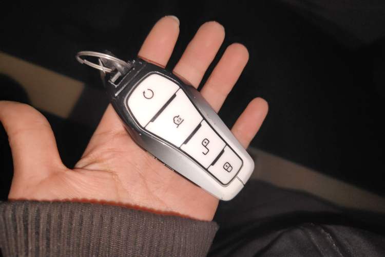 Used BYD Han 2024 DM-i Glory Edition 121KM Elite Model
