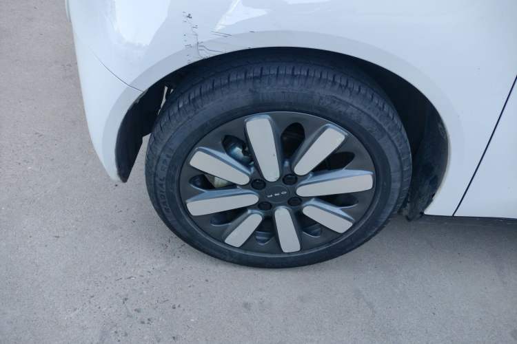 Used ORA Black Cat 2019 351 km Family Edition Left Front Wheel Hub