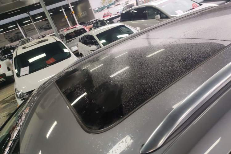 Used Hongqi E-HS9 2022 660 km Range Flagway Edition Six Seats
