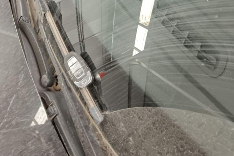 Used Hongqi E-QM5 2021 Charging Version Flagship Edition
