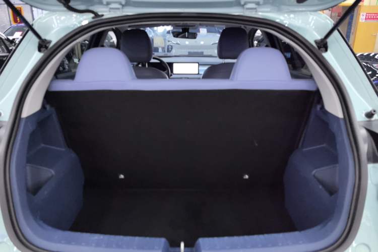 Used Geometry E Firefly 2022 320KM Cute Tiger 4-Seater