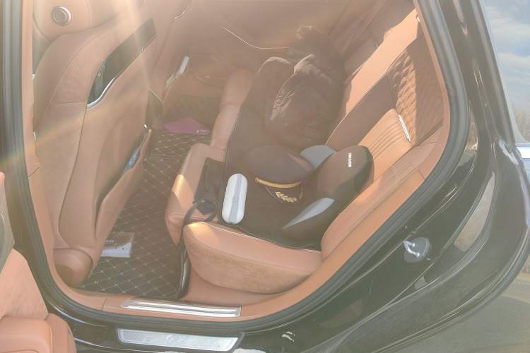 Used Hongqi H9 2020 Revised Version 2.0T Smart Connect Flagship Edition Left Rear Seat