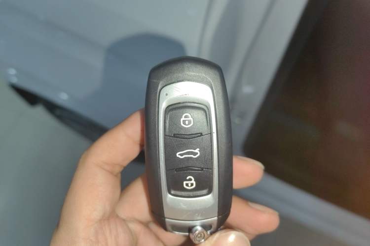 Used Geely Galaxy Panda 2024 Panda Mini 200km Endurance Bear
