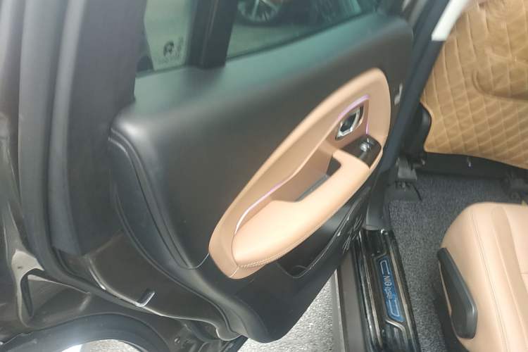 Used Nio ES8 2018 Founder Edition Left Rear Door Interior