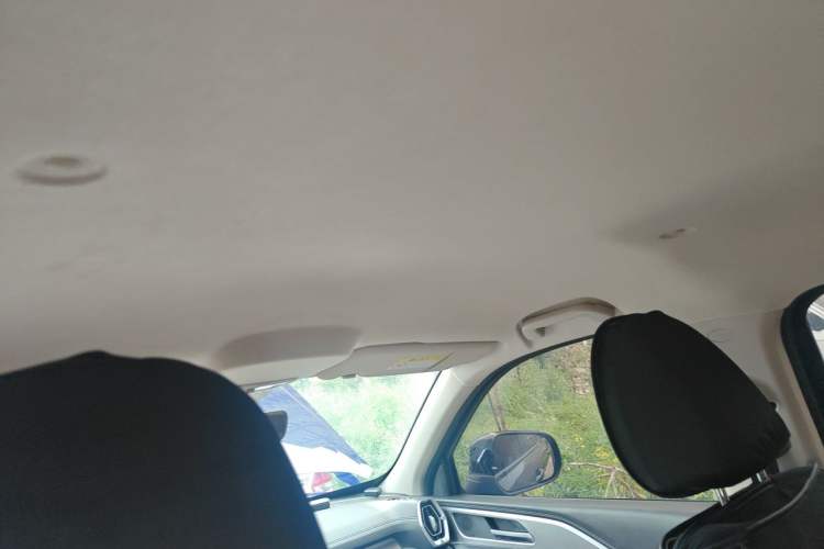 Used Great Wall King Kong Poer 2023 2.0T Automatic Gasoline 4x4 Elite Trim Standard Box GW4C20C Headliner