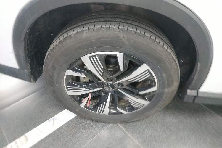 Used BYD Sealion 05 DM-i 2025 DM-i 75KM Prestige Model
